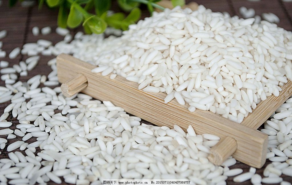 優(yōu)質(zhì)糯米 晶瑩剔透的米中瑰寶