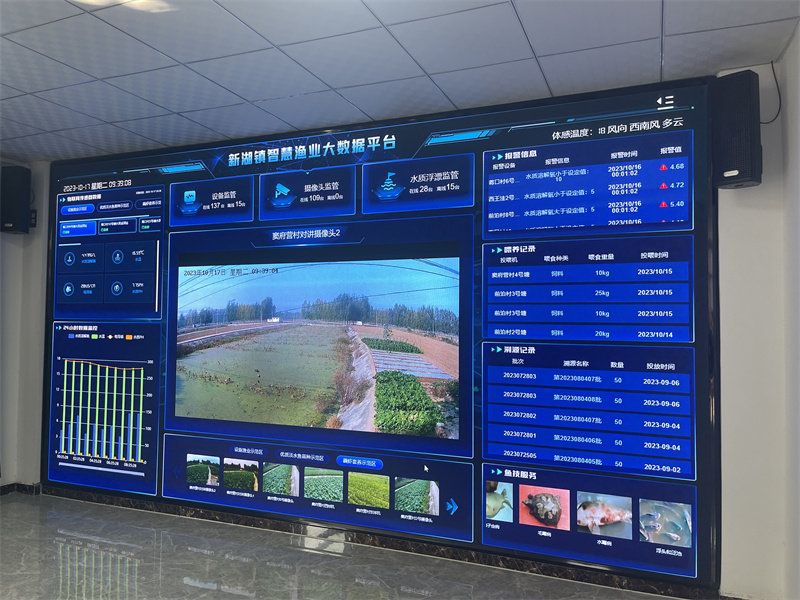 特色產業效益高、托管服務帶動強 泰安農業農村重點項目繪就鄉村振興新圖景